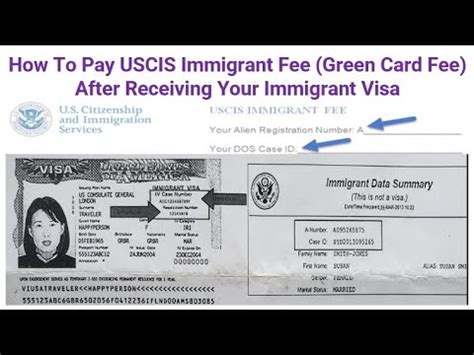 pay my green card fee.